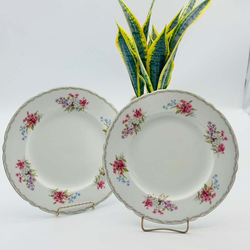 Vintage Shelley England Stocks Floral Bone China Dinner Plates Set of 2 10.5"